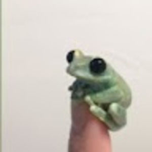 Meet your Posher, Gwen